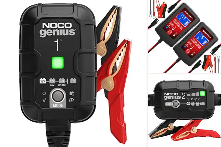 Detailed view of Best Battery Trickle Chargers