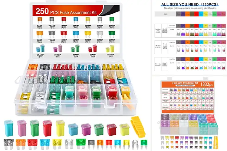 Detailed view of Best Car Fuse Assortments