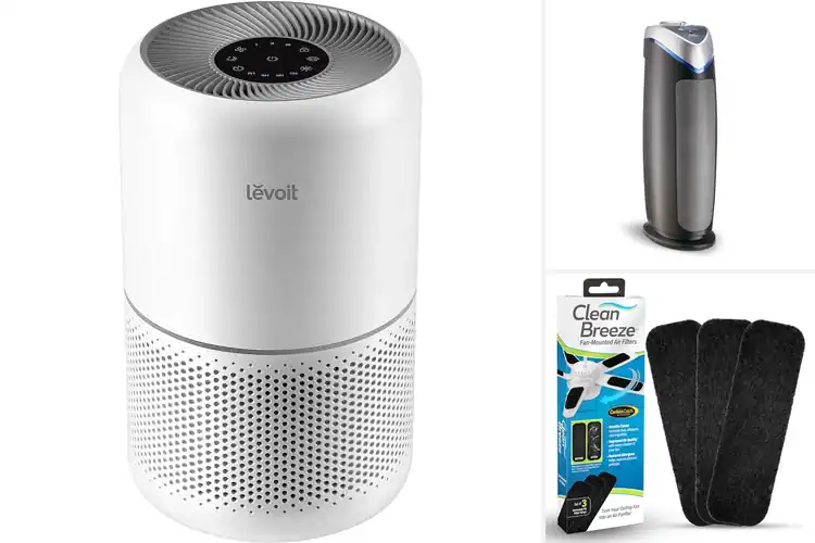 Detailed view of 10 Best Clean Air Filters: Allergy Relief